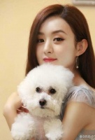 赵丽颖晒日常温馨照，与宠物互动显真情