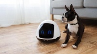 能与宠物互动 宠物伴侣机器人还能给它们提供食物