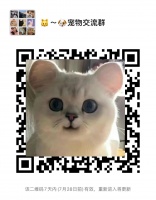 宠物交流群。纯交流，商家广告偷人 都是爱