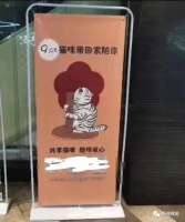 9.9元就能租一天猫？ “共享宠物”引争议