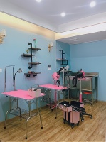 共享宠物：专业护理，安全无忧，你的创业首选！