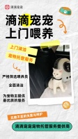 宠物上门喂养，上门清洁，滳滴宠宠宠物托管服务提供商即将上线啦