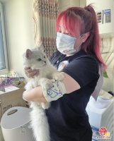 宠物托管师火了 济南姑娘尝试靠“撸猫遛狗”竟能月赚4000元