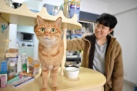 撸猫逗狗、吃喝玩乐也能赚钱 年轻人走出格子间