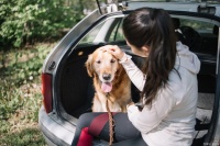 宠爱出行：让你的宠物旅行无忧，一篇必备清单帮你全搞定！