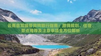云南自驾游带狗狗旅行指南：路线规划、住宿、景点推荐及注意事项全方位解析