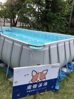 专辟楼层招呼“宠物团”！携宠住星级酒店是怎样的体验？