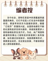 宠物友好新观察  |    带上“毛孩子”去杭州宠物友好公园撒欢儿吧