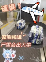 谨慎！宠物托运出行，严重会出大事！