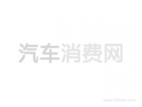 带着宠物去兜风 适合携宠出行四款车型推荐