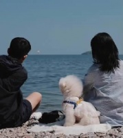 带着宠物去旅行，“它经济”奔新赛道