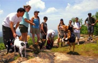 宠物旅行家：带着宠物去旅行