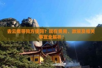 去云南带狗方便吗？现在费用、政策及相关事宜全解析！