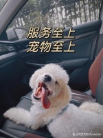 带宠物出行不方便怎么办？宠物托运