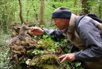 大自然的宠物情缘