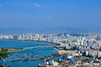 宠物旅游托运攻略｜被称为“东方夏威夷”——三亚！