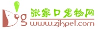 张家口本地宠物社区