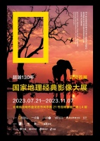 周末冲冲冲！国家地理影像展、宠物博览会……不看后悔