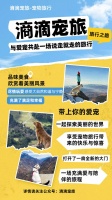 滳滴宠旅：与爱宠共赴一场说走就走的旅行