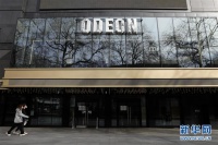 社交距离引爆孤独感？疫情之下美国兴宠物认领热潮