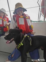 爱宠 80 元一个座！人均花费上千元…这个宠物旅行团有点火！【贴吧热议吧】