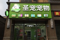 把握宠物旅游市场的黄金机会，创业致富就在此刻！