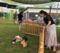 萌宠动物乐园加盟