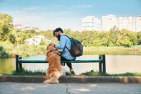 带宠物旅游，如何让自己和宠物都玩得开心？