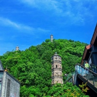 宠物时装秀@新浪博客...