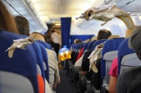 乘客偷带活体宠物上飞机，不慎跑丢，导致航班延误：宠物坐飞机可行吗？