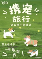 「宠物友好旅行精选」携宠共游，这五地不容错过！