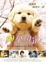 梦幻西游 12角色和宠物狗狗选择