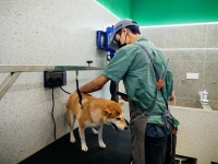 青浦首店！这家宠物乐园有点不一样~