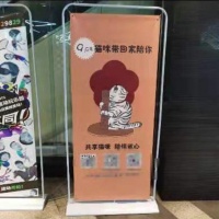 9.9元“共享猫咪”引争议，网友：动物会受到精神上的折磨