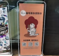 共享猫咪，我不同意！请参考这5点