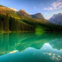 养狗人务必要知道的狗狗沐浴露分享来啦