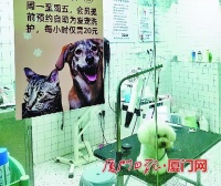 自助洗护爱宠费用减少近一半但主人搞得定吗？