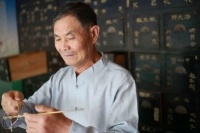 宠灵本草：传统中医智慧与宠物护理的完美结合