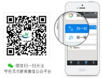 初春宠物脱毛慎防皮肤过敏