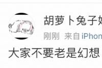 家居清洁对付宠物疯狂掉毛的超细致方案