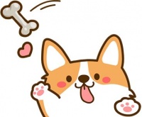 【文明创建】文明礼仪知识之养犬篇