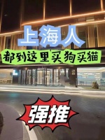 上海买宠物猫狗哪里比较安全   这里可以线下实体店挑选宠物！