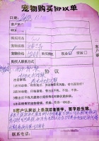 刚买的宠物狗当天就病倒了 宠物购买前应进行健康检查