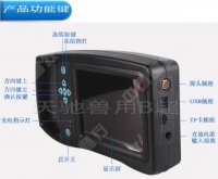 宠物B超可用于检查狗的健康状况