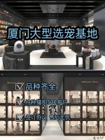 厦门买宠物猫狗哪里便宜，这里可以线下实体店挑选宠物！