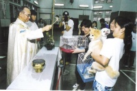 香港：主教座堂宠物祝福礼