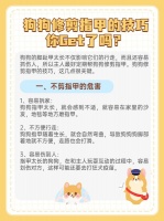 狗狗修剪指甲的技巧，你Get了吗？