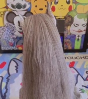 主人每天给狗子编麻花辫，坚持了整整五年…美炸了！