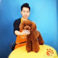 北京日韩创意萌系宠物造型培训课程