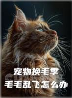 换季宠物掉毛怎么办？五招教你解决！